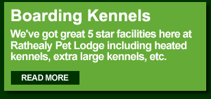 Rathealy Pet Lodge Boarding Kennels