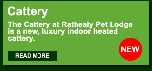 Rathealy Pet Lodge Cattery