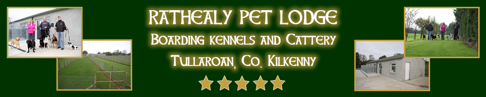Dog Boarding Kennels and Cattery