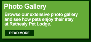 Rathealy Pet Lodge Photo Gallery